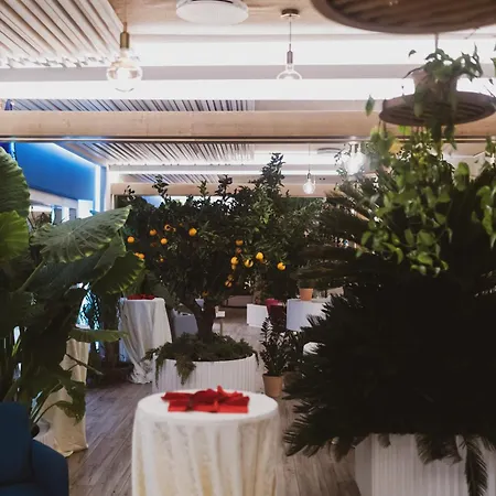 Sentido Michelizia 트로페아