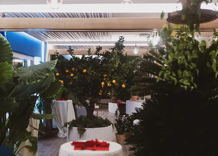 Sentido Michelizia Tropea